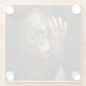 Orangutan Glazen Onderzetter (Achterkant)