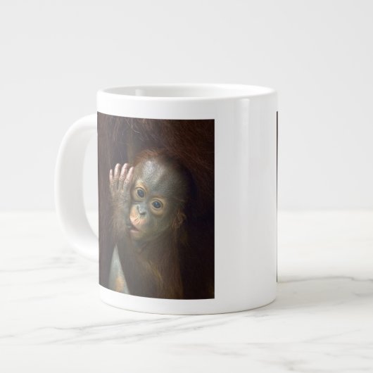 Orangutan Grote Koffiekop (Links)