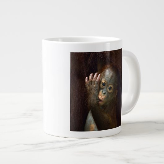 Orangutan Grote Koffiekop (Voorkant rechts)