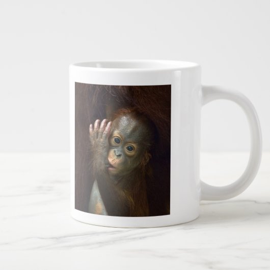 Orangutan Grote Koffiekop (Rechts)