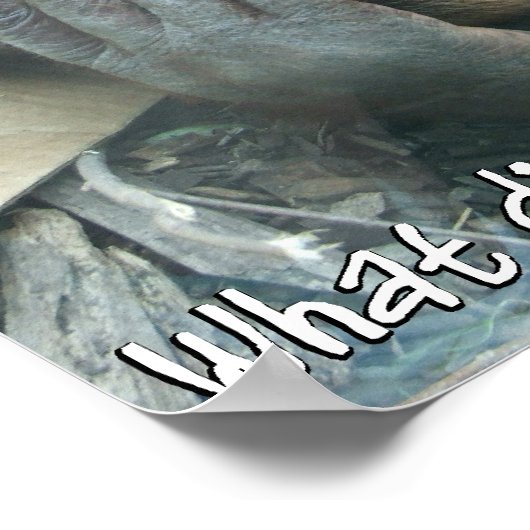 Orangutan Hangover Poster (Hoek)