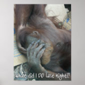 Orangutan Hangover Poster (Voorkant)
