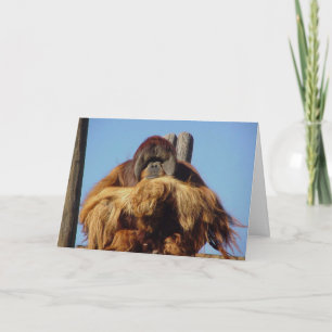 Orangutan Happy Birthday Sjabloon Card