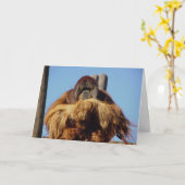 Orangutan Happy Birthday Sjabloon Kaart (Gele Bloem)