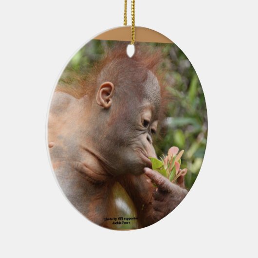 Orangutan Holiday-behandelingen Keramisch Ornament (Rechts)