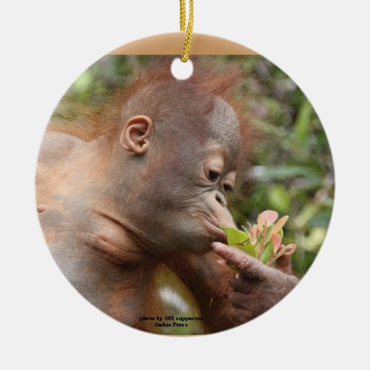 Orangutan Holiday-behandelingen Keramisch Ornament (Voorkant)