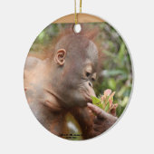 Orangutan Holiday-behandelingen Keramisch Ornament (Links)