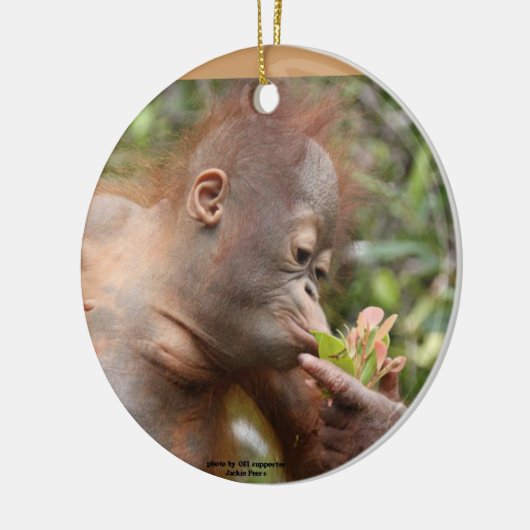 Orangutan Holiday-behandelingen Keramisch Ornament (Links)