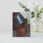 Orangutan Huid en Seek Briefkaart (Staand voorkant)