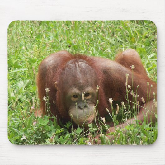 Orangutan Huid en Seek Mousepad Muismat (Voorkant)