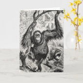 Orangutan Illustration - 1800's aap Kaart (Gele Bloem)