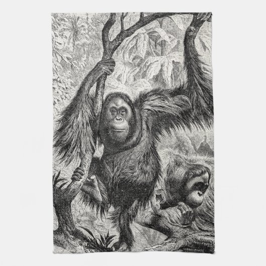  Orangutan Illustration - 1800's aap Theedoek (Verticaal)
