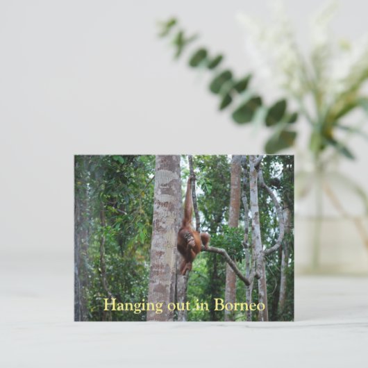 Orangutan in Borneo Briefkaart (Staand voorkant)