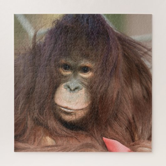Orangutan Kayan Legpuzzel (Verticaal)