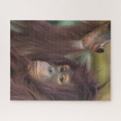Orangutan Kayan Legpuzzel (Horizontaal)