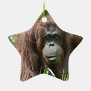 Orangutan Keramisch Ornament