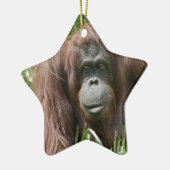 Orangutan Keramisch Ornament (Links)