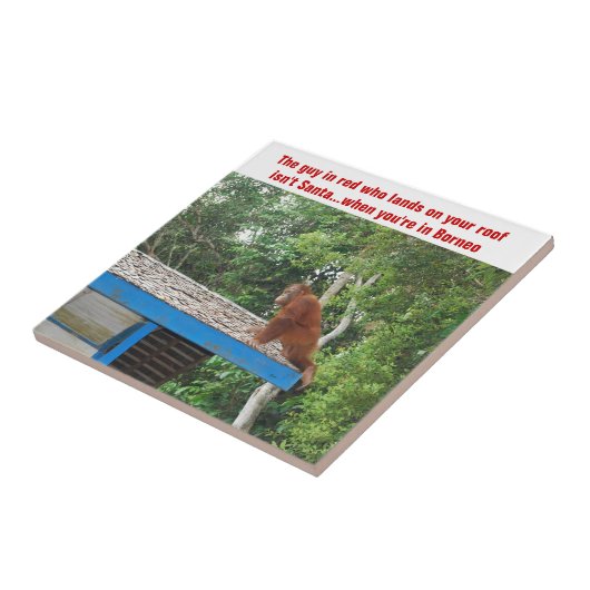 Orangutan Kerstmis Borneo Tegeltje (Zijkant)