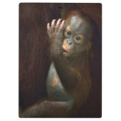 Orangutan Klembord (Achterkant)