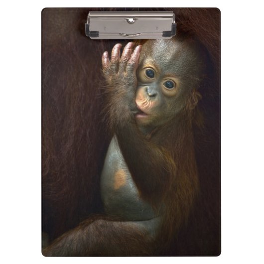 Orangutan Klembord (Voorkant)