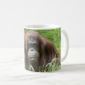 Orangutan Koffiemok (Voorkant rechts)