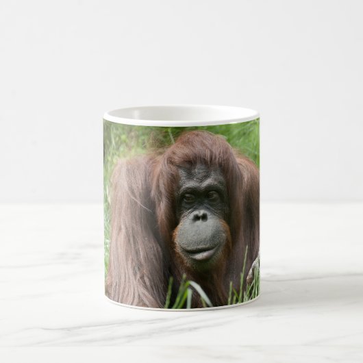 Orangutan Koffiemok (Center)