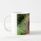 Orangutan Koffiemok (Links)