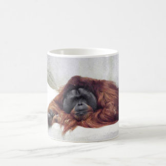 Orangutan Koffiemok