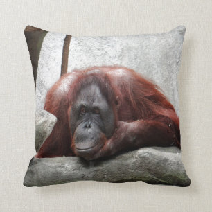 Orangutan Kussen