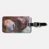 Orangutan Lady Bagagelabel (Voorkant horizontaal)