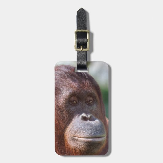 Orangutan Lady Bagagelabel (Voorkant verticaal)