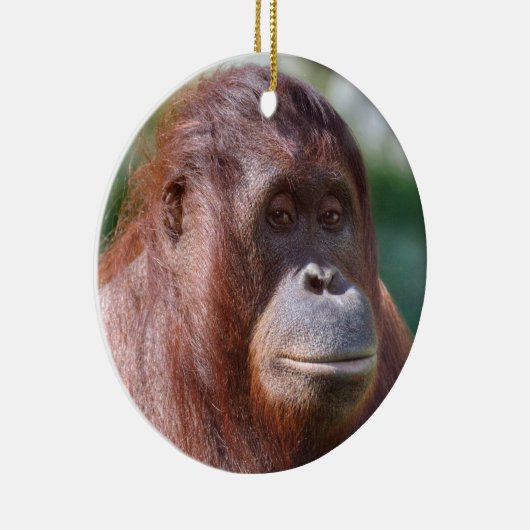 Orangutan Lady Keramisch Ornament (Rechts)