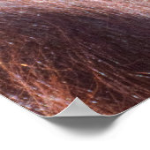 Orangutan Lady Poster (Hoek)