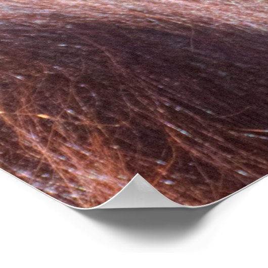 Orangutan Lady Poster (Hoek)