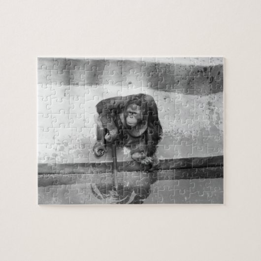 Orangutan Legpuzzel (Horizontaal)