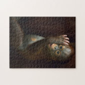 Orangutan Legpuzzel (Horizontaal)