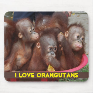 Orangutan Love Muismat