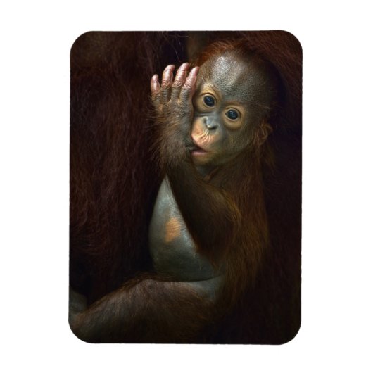 Orangutan Magneet (Verticaal)