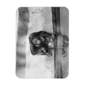 Orangutan Magneet (Verticaal)