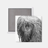 Orangutan Magnet (Voorkant / Achterkant)