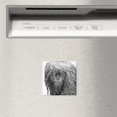 Orangutan Magnet (Insitu (Vaatwasser))