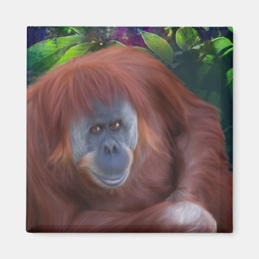 Orangutan Magnet (Voorkant)