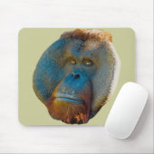 Orangutan Male Muismat (Met muis)