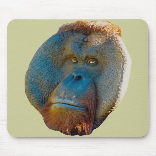 Orangutan Male Muismat (Voorkant)