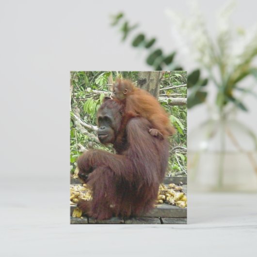 Orangutan mama en Baby Briefkaart (Staand voorkant)