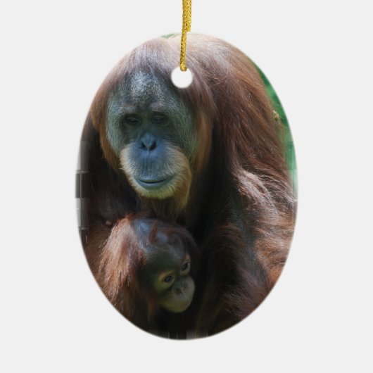 Orangutan met Baby Ornament (Voorkant)