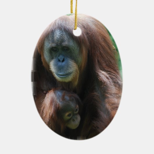 Orangutan met Baby Ornament (Achterkant)