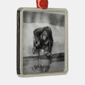 Orangutan Metalen Ornament (Rechts)