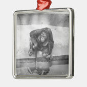 Orangutan Metalen Ornament (Links)