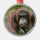 Orangutan Metalen Ornament (Voorkant)